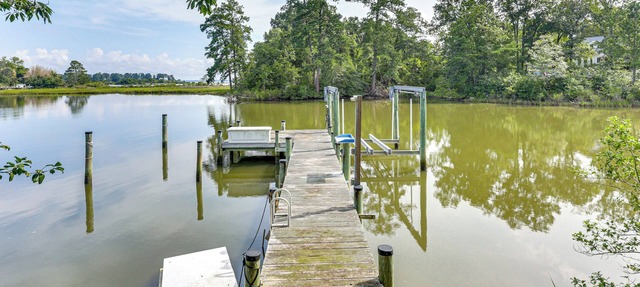 Fish On-Site: Rappahannock River Gem! in Urbanna