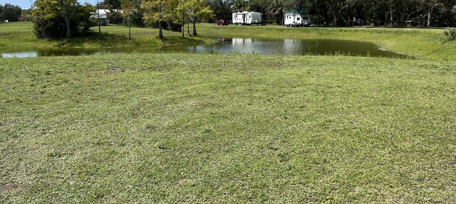 Get away to the Country on a lake enjoying the wild life and horses. in Englewood