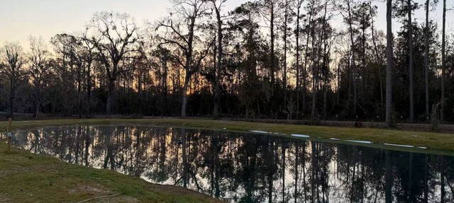 Graff Place in live oak