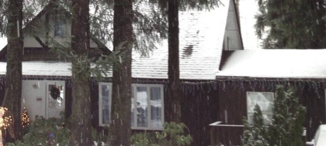 Grandma's Suite - Convenient Valley Location, Offering 10% OFF ON TOURS! in Juneau