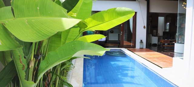 Habibi Villa Bali 5 Min from Beautiful Beaches in Jimbaran