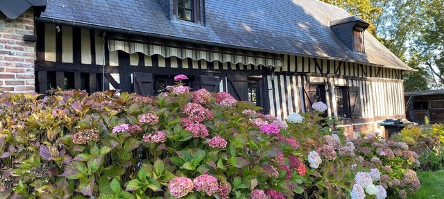 Haras DES Berthes - Le Gîte in MOYAUX