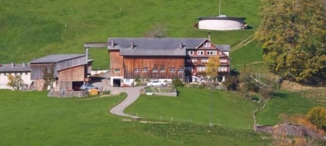Holiday flat "Bauernhof Hasenbüel" with mountain view in Dicken