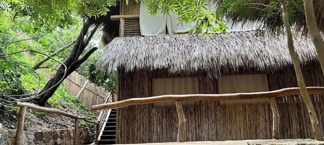Huge full private villa in front of virgin bay in Arroyo Cruz