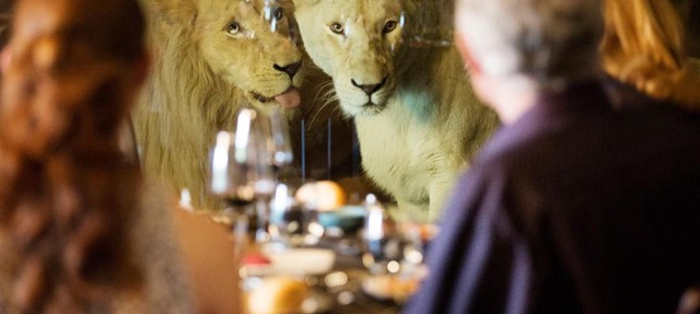 Jamala Wildlife Lodge in Canberra