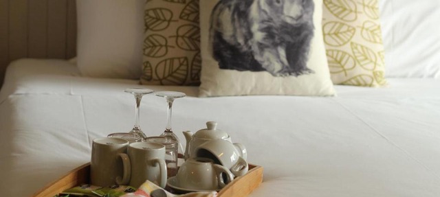 Jindy Inn in Jindabyne