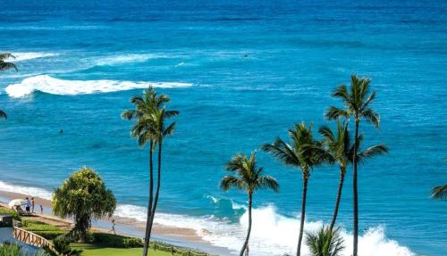 KBM Resorts FREE CAR The Whaler Ocean view 1-Bedroom Recently Updated WH2-1169 in Kaanapali