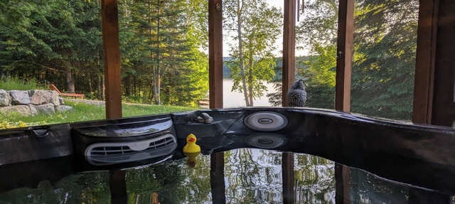 LAKEFRONT COTTAGE/ATV & SKIDOO TRAILS/cross-country skiing, snowshoeing, hiking in Chute-Saint-Philippe