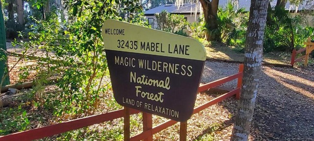 Lakefront Magic Wilderness Cabin in Leesburg