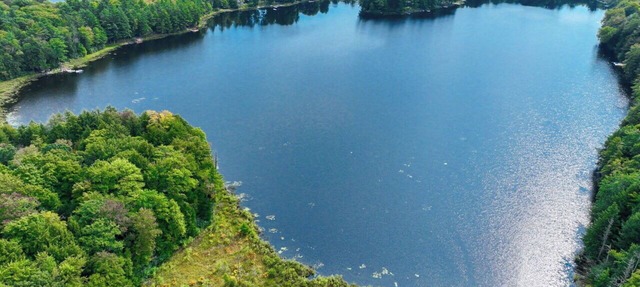 Lakefront Muskoka Cottage | Fire Pit, BBQ & Water Toys in Port Carling