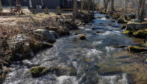 Little Gem Cabin-Pickleball Court, Creek, WIFI, Mountain Views, Starting at 79" in Cosby