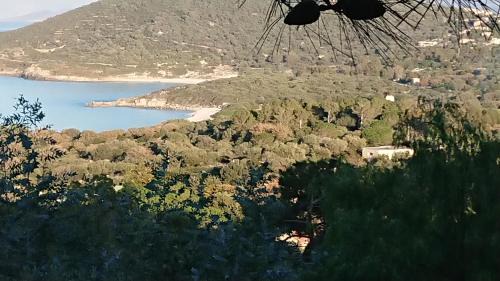 LOCANOMA in Corbara