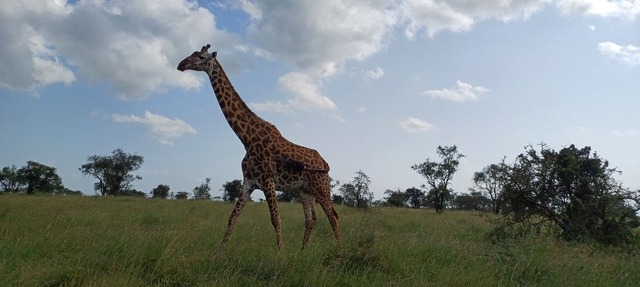 Maanzoni Tented Cottage African Wildlife Estate in Machakos