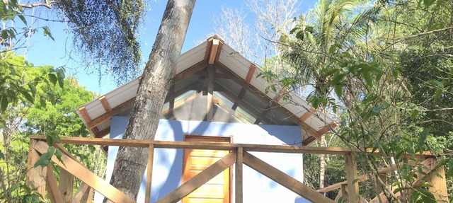 Mango Walk Inn in San Ignacio