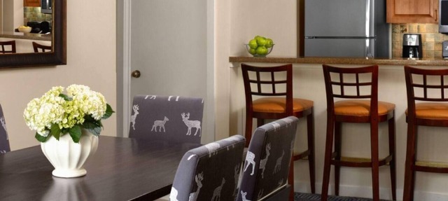 Marriott's StreamSide Douglas at Vail 1 Bedroom Bi-level Loft in Vail