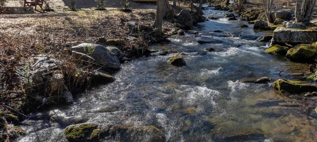 Mountain Majesty- Pickleball Court, Creek, WIFI, budget friendly in Cosby