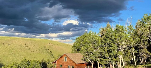 Mountain Meadow Cabin in Cotopaxi on 40 acres in Cotopaxi