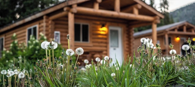 Naturalistic Escape! Convenient Wooden Cottage, Free Parking in Moran
