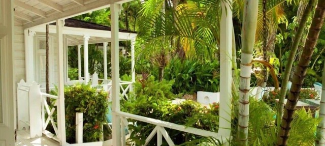 One And A Half Acres Of Lush Tropical Gardens in Bowling Alley Hill