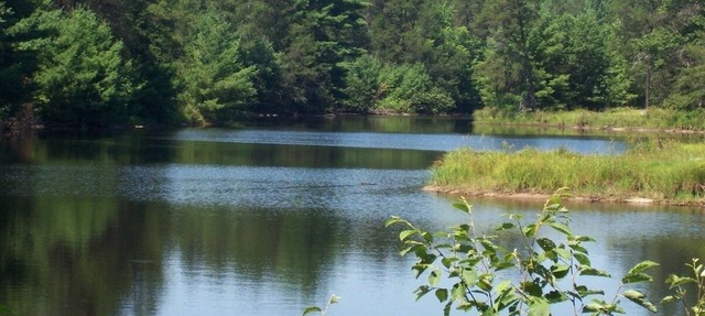 Pheasant Cottage- Cottages On Serenity Lake- has best view of Serenity Lake! in Black River Falls