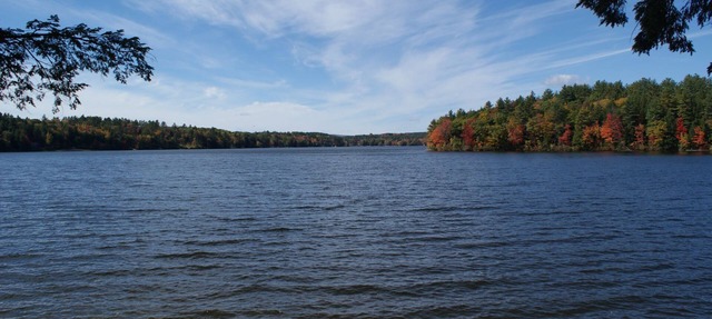 Relax in our comfortable cottage and enjoy the beautiful beach and glacial lake. in Alton