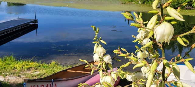 Relax with the whole family at The Varaha. A peaceful cottage facing the lake in Lakefield