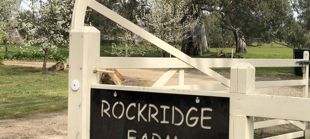 Rockridge, apartment pet friendly semi rural farm stay Set amongst tall gums in Mount Pleasant