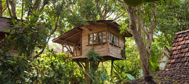 Roots Tree House - Boutique Hotel - Uluwatu in Uluwatu