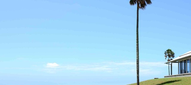Rose Valley, Gerringong, South Coast in Rose Valley