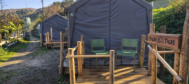 Safari Glamping Portugal Tiger in Ventosa