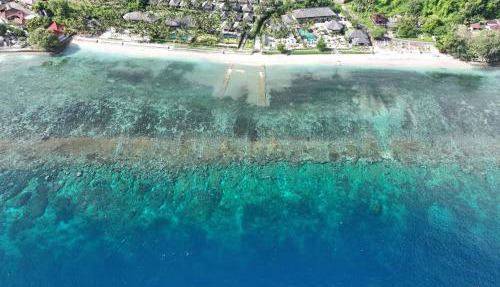 Seven Dreams A Pramana Experience in Penida Island