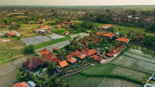Shankara D'Uma in Ubud