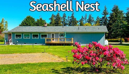 Sq Seashells Nest in Sequim