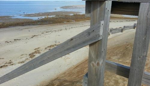 Starlight Lodge Cape Cod in Dennis