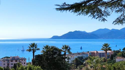 Studio cabine vue mer, piscine panoramique, parking couvert in Cannes