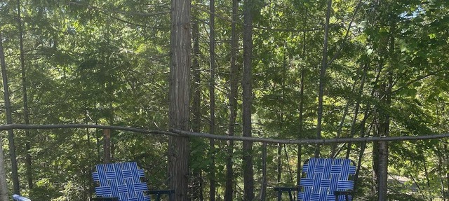 The Hideout Trailer - close to Winery nestled in the mountains of the Shuswap in Celista