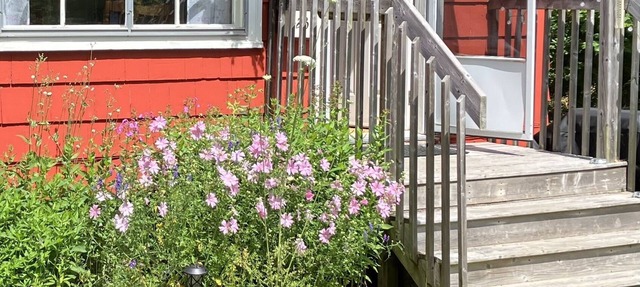 This peaceful urban cottage is welcoming you! in Halifax