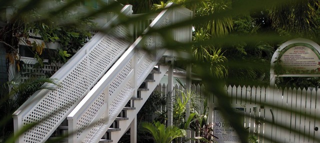 Tropical hidden gem behind Hemingway's House. in Key West