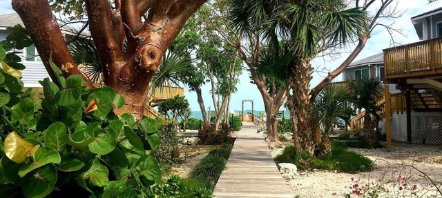 Tropical Paradise in Islamorada