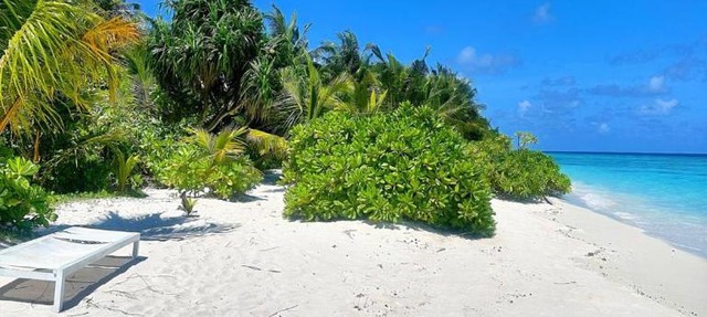 Tropical Sands By Reef Tour in Kelaa