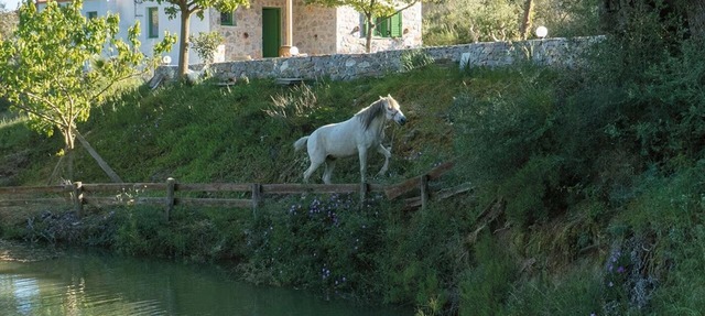 Villa Elia with mountain and lake view in LAMPINI RETHYMNO