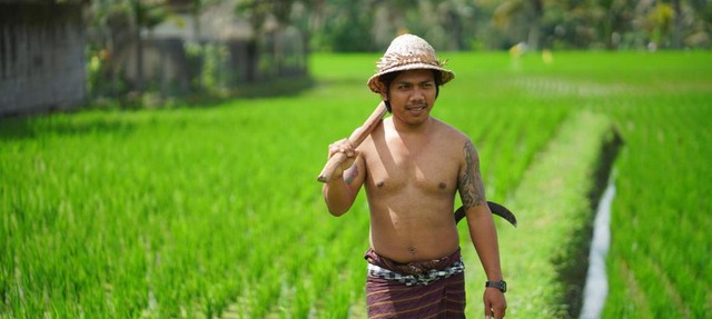 Villa Mandi Resort & Spa in Ubud
