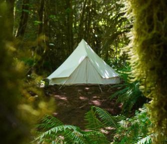 Wander Camp Olympic in Port Angeles