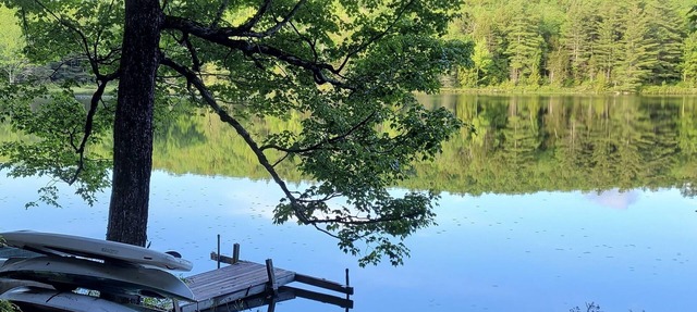Waterfront Cabin- look down on water from deck, private docks & fire pit in Grantham