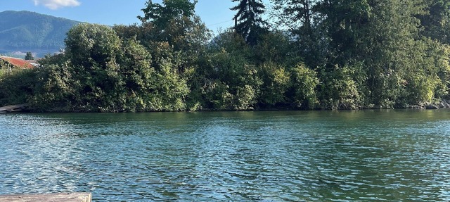 Waterfront cottage with a private dock, large yard and backyard bar/game room! in Honeymoon Bay