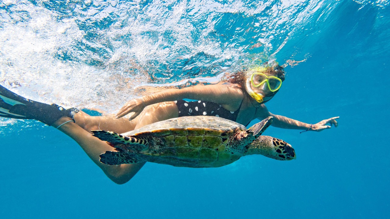 Photo of Others in Manafaru Island