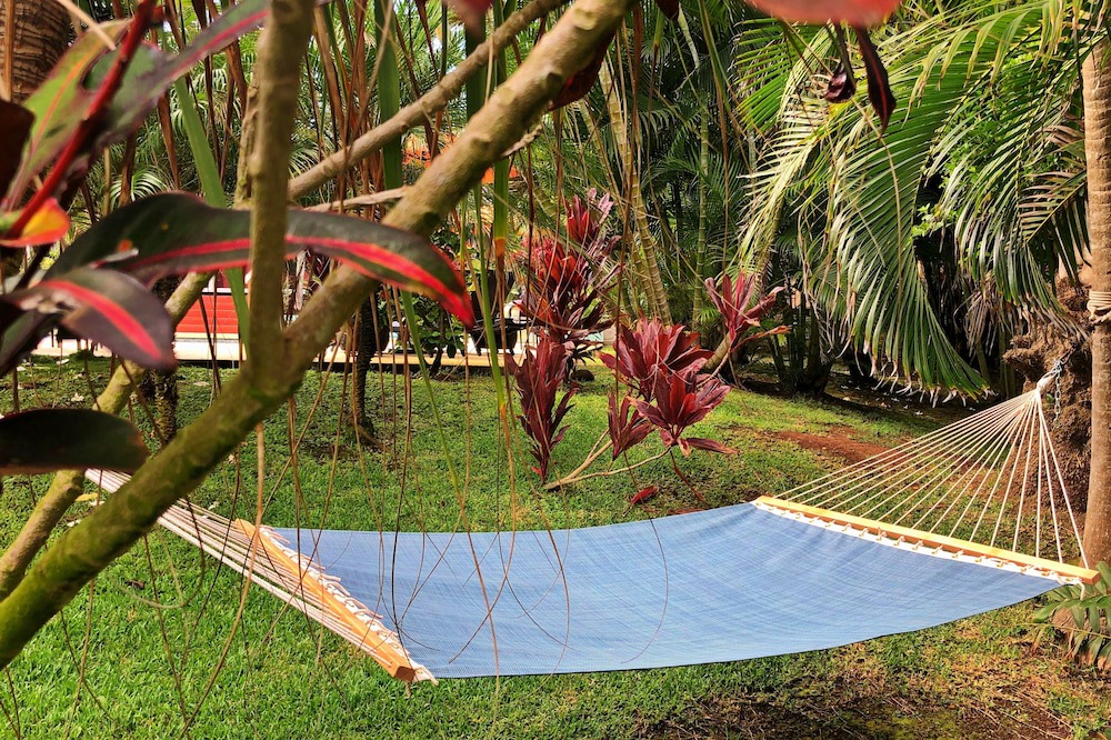 Photo of Outdoor in Kahului