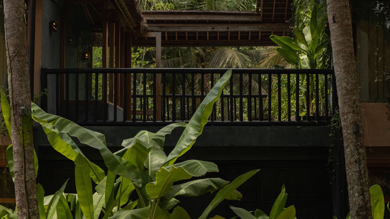 Photo of Others in Ubud