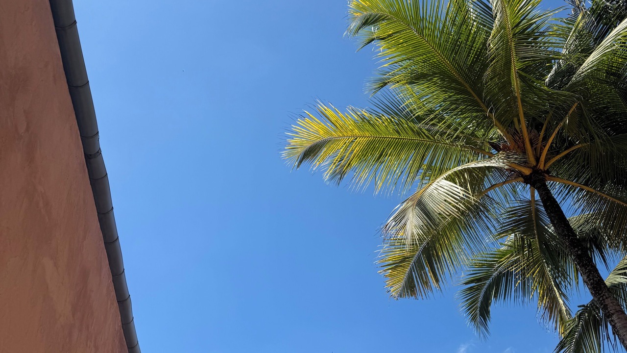 Photo of Outdoor in Ubud