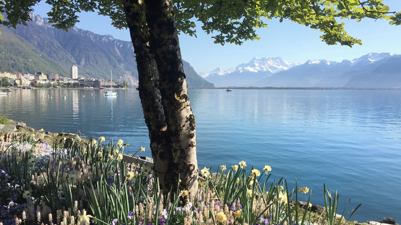 Photo of Outdoor in Montreux City Centre